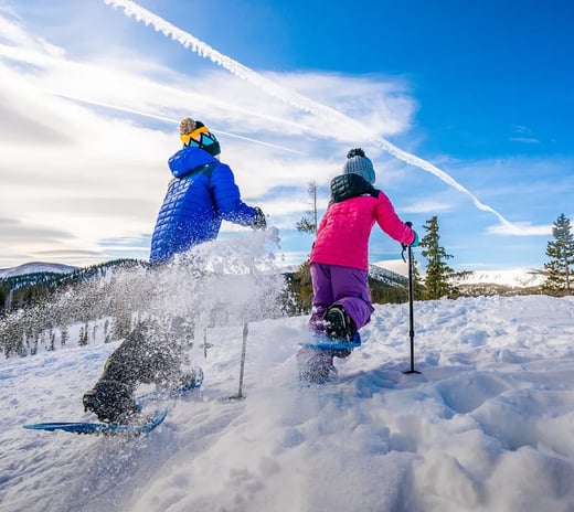 SNOWSHOE.2