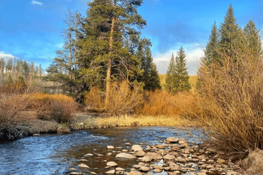 headwaters